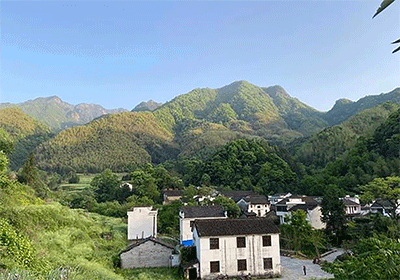 中級經濟師證書的主要用途是什么？