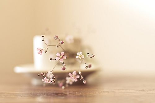 暨南大學有在職博士嗎